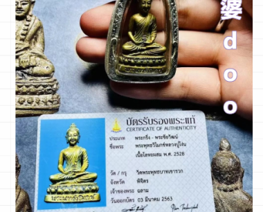 龙婆doo阿罗汉药师佛佛牌，挡险避灾，清业障