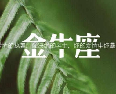 十二星座之首领,十二星座四大代表星座