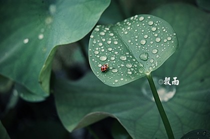 怎么和天蝎女聊天最舒适,天蝎喜欢你最明显的表现