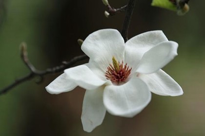 献给36岁本命年的自己,36岁本命年生日经典感言