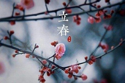 12星座里的天才排名,十二星座谁是天才