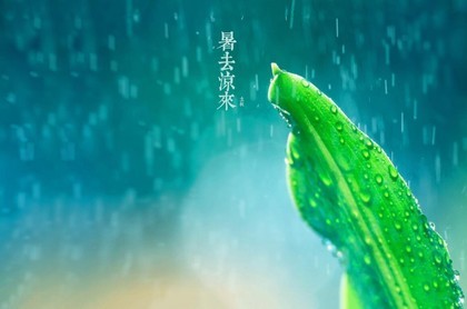 双鱼陨石女主角,双鱼玉佩