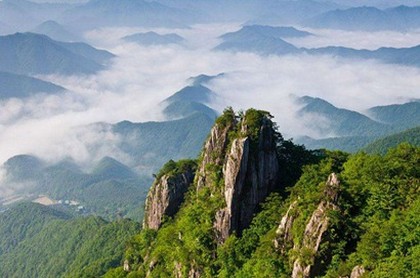 综漫六道骸是女的,主角拥有六道骸的能力