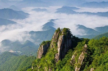 综漫六道骸是女的,主角拥有六道骸的能力