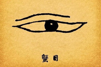 塔罗说app怎么认证塔罗师,塔罗师收入