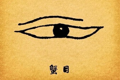 塔罗说app怎么认证塔罗师,塔罗师收入