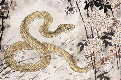 男女紫薇命盘免费排盘,元亨利贞八字排盘系统