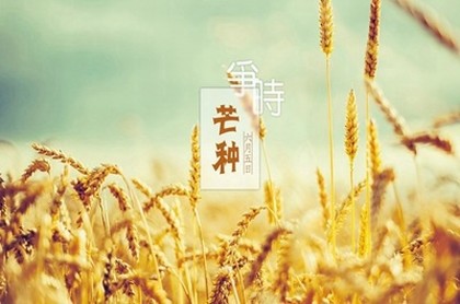秒速文化八字算命,八字详批