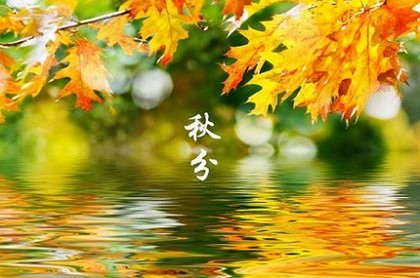 姓名生辰八字五行算命,农历算命最准免费