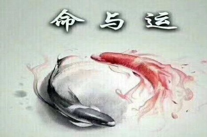 塔罗2023年双鱼7月感情,2023天秤婚姻宿命
