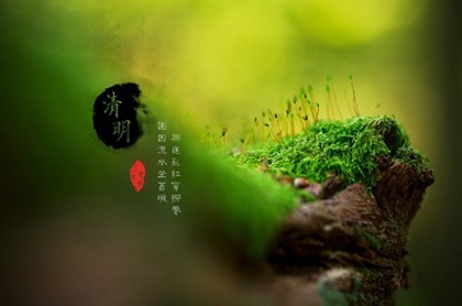 新生儿取名字免费文,新生儿取名字
