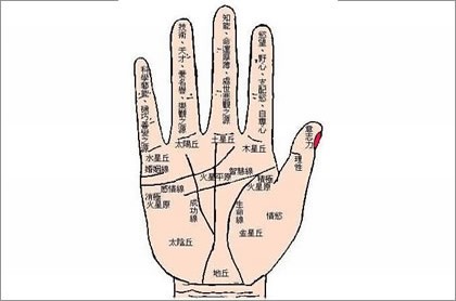 处女座的性格是什么样,处座男喜欢的女生标准