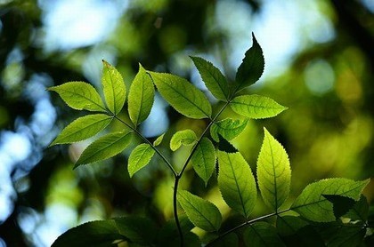 测一生财运,算算我的命运和财运