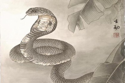 虎年的孩子,2023虎百年难遇