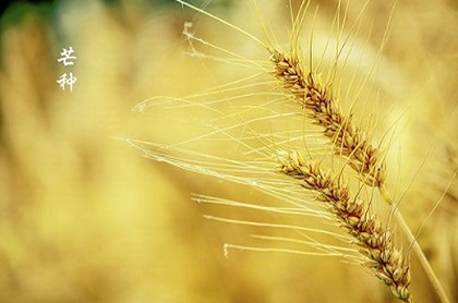 属虎下半年运势如何,62年属虎下半年运势