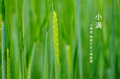 金牛男金牛女相互吸引吗,如何把金牛男吃得死死的