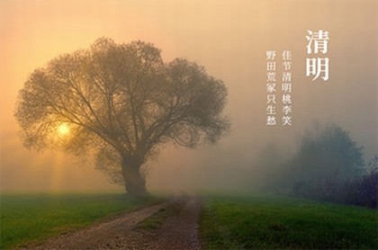 八字正解27,印格用杀八字实例