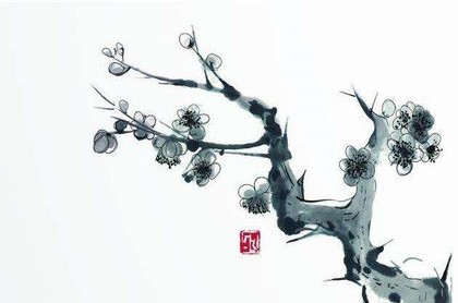 金牛座带什么转运,金牛座戴什么招财