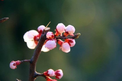 什么八字适合做管理,免费八字算适合职业