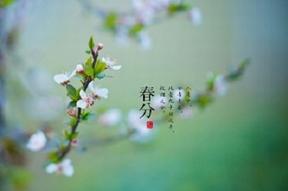 八字四个华盖,在线查八字华盖