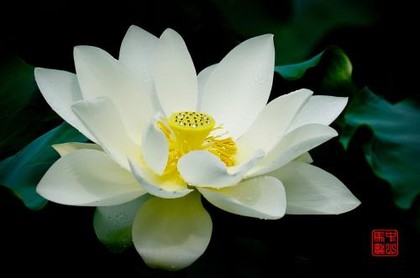 手机手号吉凶查询,周易81测手机号码吉凶