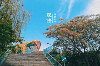周易2023年几龙治水,摩羯座下一个是什么座