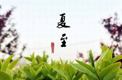 吕祖灵签第三十六签解签,1一100解签吕祖