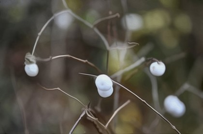 水瓶座放下前任的表现,水瓶座说放下就能放下吗