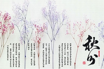 水瓶座女放弃一个人的表现,水瓶女遇到喜欢的人的表现