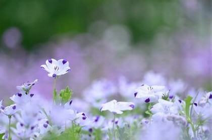 女命月柱和时柱同时坐七杀,八字上等月柱富贵命