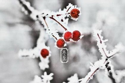 比卦的卦象是,水地比卦详解