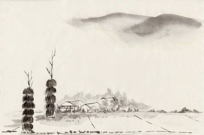 1988年生肖配对,1988年属龙的姻缘