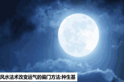 属羊的下半年每月运势,79年属羊2023年每月运势