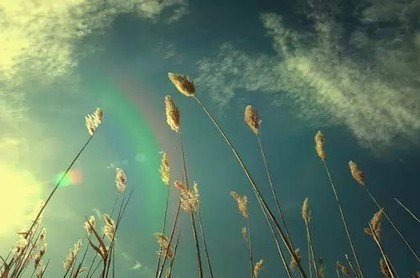 水瓶女11月运势2023,跟水瓶超级幸福的星座