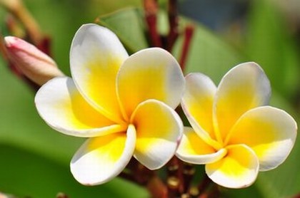 86年的虎今年的财运方位,86年属虎到2023年财运怎么样