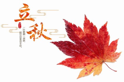 属鼠女孩子取名字大全,属鼠女孩取名字寓意好的字
