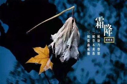 狮子座2023年运势,2023年最倒霉的星座