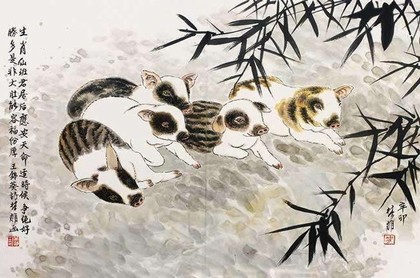 74年的虎本命年适合结婚吗,虎年本命年戴什么