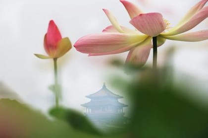 天蝎座的10个特征,天秤座和天蝎座