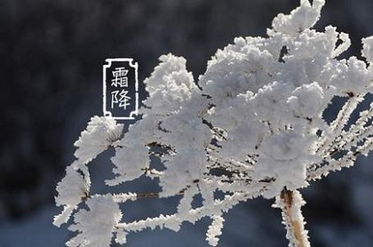 对新闻事业发展的影响,新闻事业的产生和发展