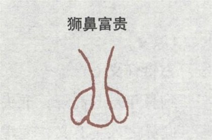 紫薇星盘入门知识图解,紫微排盘解析免费算命
