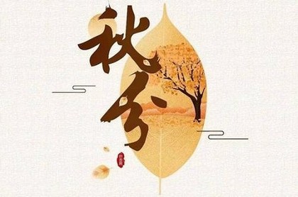塔罗牌吊人正位测桃花,塔罗牌倒吊人正位