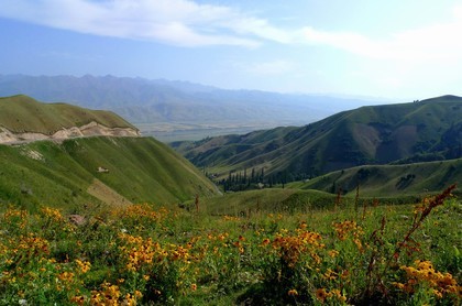 轮回第六层,六道轮回转世查询