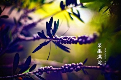 陶白白金牛座恋爱观,白羊座感情