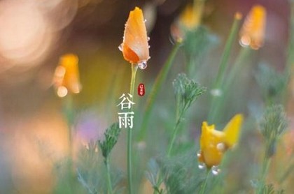 新闻事业发展的特点,新闻事业的性质和功能