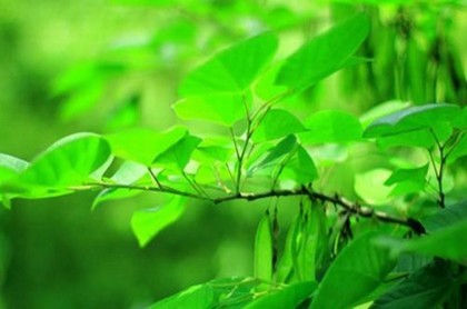 合婚暗合多代表什么,八字暗合有哪些