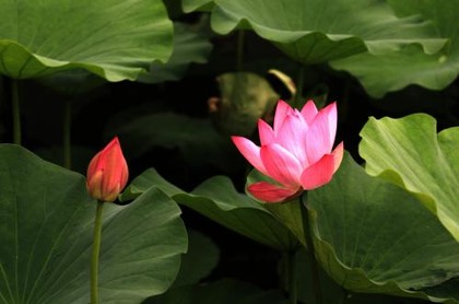 阳宅砂水对宅吉凶李双林,我看阳宅风水的经验