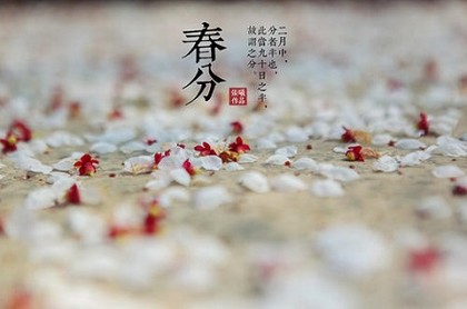莲花九鱼图风水禁忌,九鱼图挂在什么位置风水好