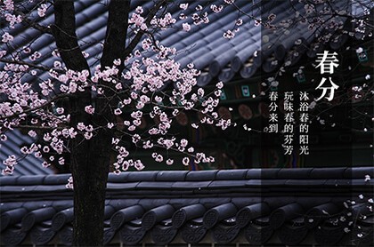 天干地支与五行对照表,时辰对照表