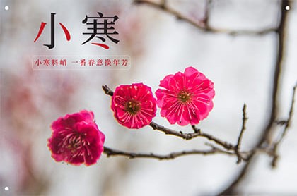 2023巨蟹座桃花,摩羯座2023年运势